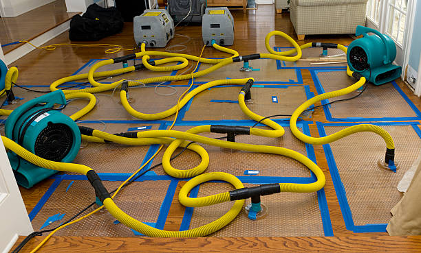 Professional Burst Pipe Water Damage technician working in Fayetteville, TX